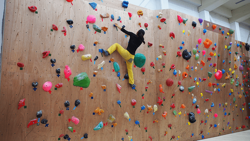 Wall height is 4.3m - satisfying climbs!