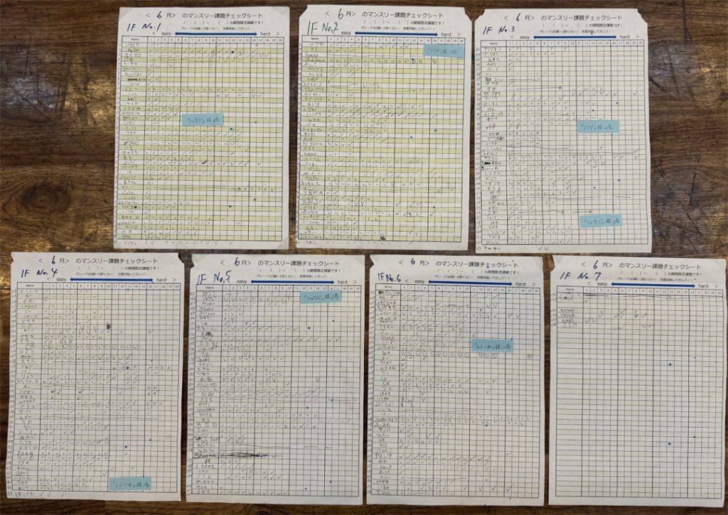 Beta Climbing Gym | June 2024 Monthly Check Sheet 1F